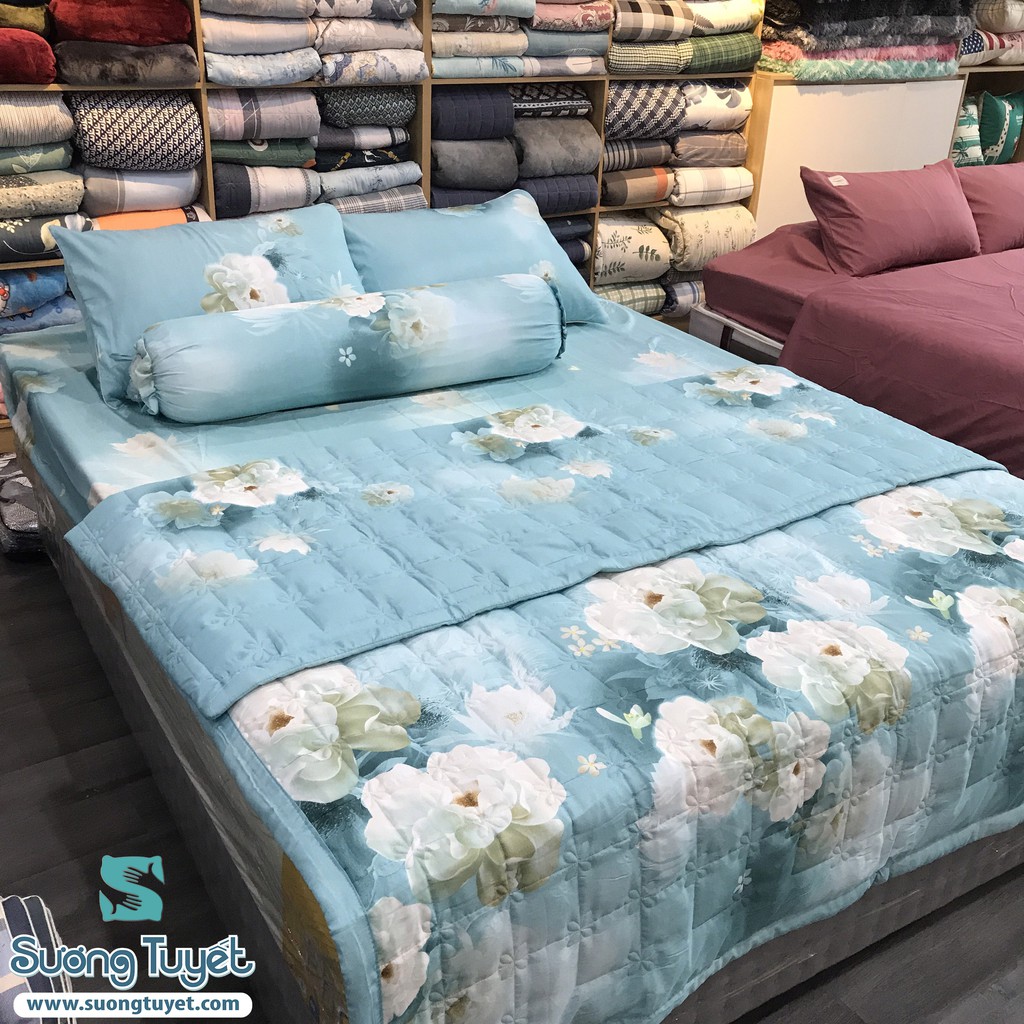 Bộ Drap Lụa Tencel LTC- 015