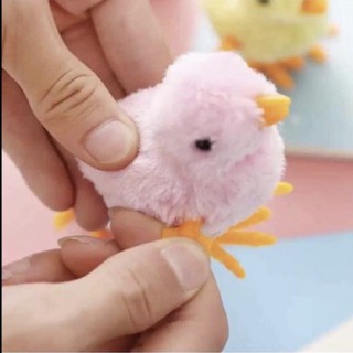 Gà Con Vặn Dây Cót - Gà Con Biết Chạy Size To