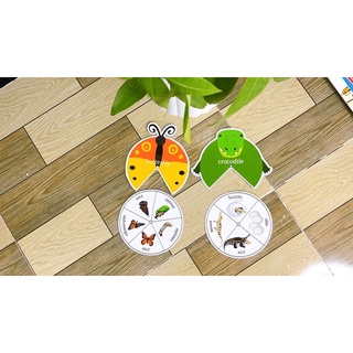 HỌC LIỆU Vòng đời các con vật