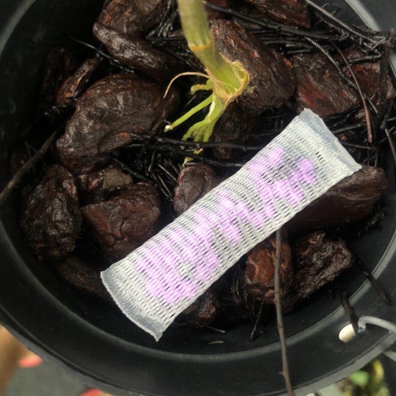 Phân tan chậm thông minh Rynan