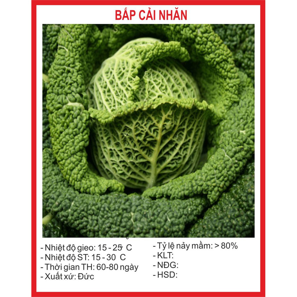 Hạt giống Bắp Cải Nhăn 0.2 Gram