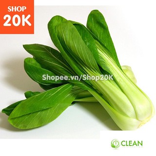 Hạt giống Cải Thìa