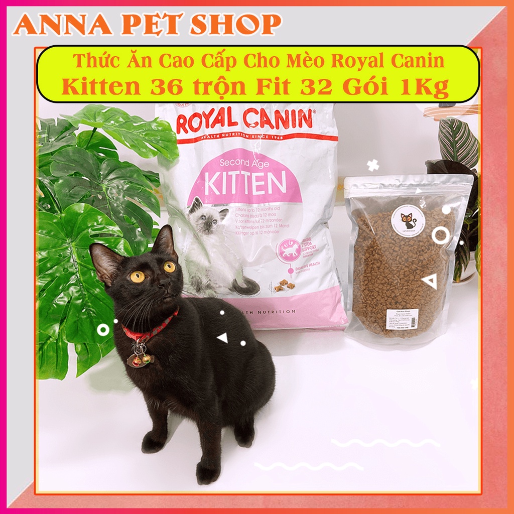 Thức ăn cho mèo con và mèo lớn Royal Canin Kitten 36 + Fit 32 tỉ lệ 1:1