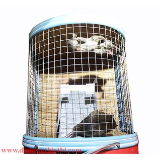 Bẫy chuột thông minh bắt cả đàn không cần gài nhờ cửa 1 chiều vào không ra được