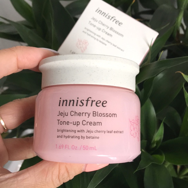 Innisfree Jeju Cherry Blossom Tone Up Cream