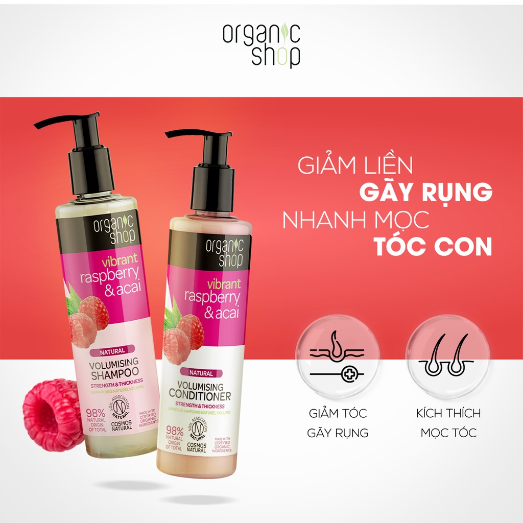 Combo Gội Xả Mâm Xôi  Giảm Gãy Rụng và Tẩy Tế Bào Chết Da Đầu Quả Sung  ORGANIC SHOP