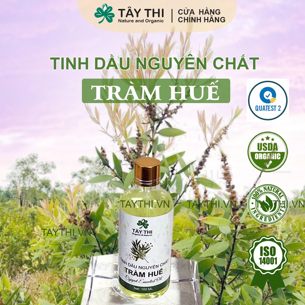 100ml Tinh Dầu Tràm Huế nguyên chất, đậm đặc từ thiên nhiên - Kiểm định Quatest 2 - Mỹ Phẩm Tây Thi Natural - Organic