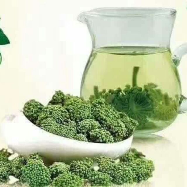 Trà nụ hoa tam thất