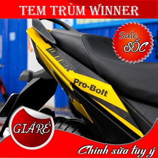 Tem Trùm Winner