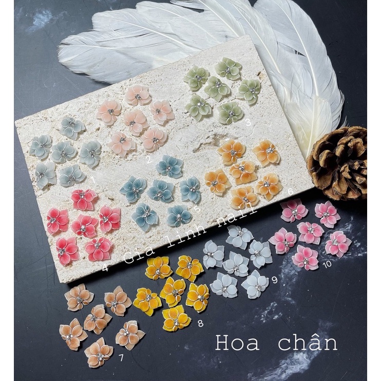 Hoa bột nail | hoa chân ( set 2 bông và 10 bông)