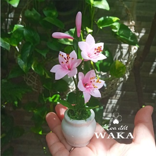 Hoa Đất Sét Mini- Chậu Ly Mini 12cm