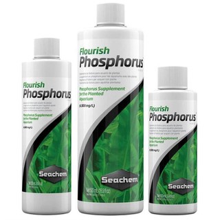 Seachem flourish phosphorus - phân nước bổ sung phosphate