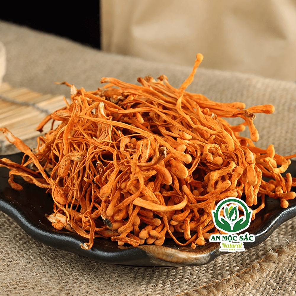 ✅[THƯỢNG HẠNG] Đông Trùng Hạ Thảo Sấy Khô Sợi To Ngon Hàng Cao Cấp Tự Nhiên An Mộc Sắc