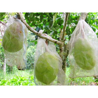 TUI BAO TRAI MIT (COMBO 10CAI 50,000K) TUI LUOI CUOC