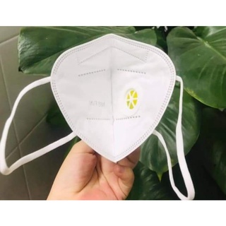 KHẨU TRANG KN95 CÓ VAN ( CƯỜNG THỊNH HỘP 20 CÁI )