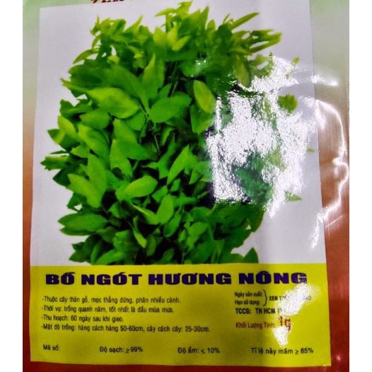 HẠT GIỐNG RAU BỒ NGÓT - GÓI 1 GRAM