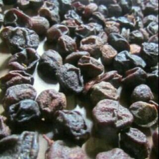 Sỉ như lẻ 1kg hạt mắc mật khô