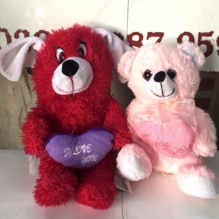 Gấu bông tedđy