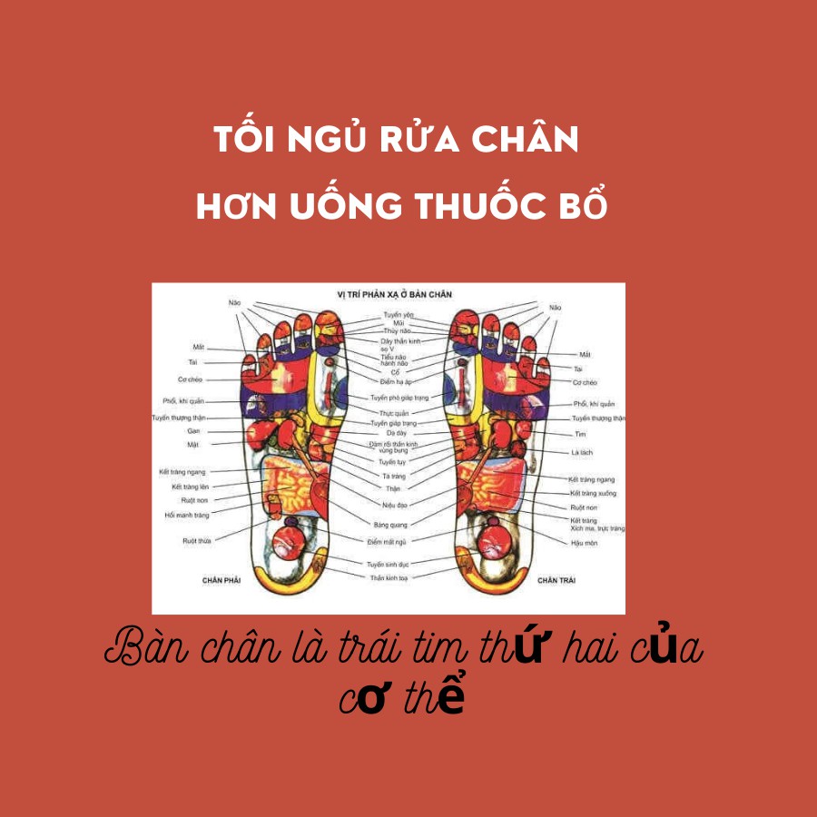 GIẢI MÃ BÍ QUYẾT SỐNG KHỎE MỖI NGÀY NHỜ Thảo dược ngâm chân dạng lỏng nguyên liệu hoàn toàn thiên nhiên