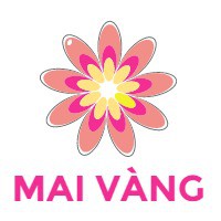 MAI VÀNG - CHUYÊN SỈ AUTH