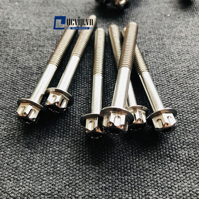 Bộ Ốc Máy Salaya Dành Cho Exciter 150 MS1890
