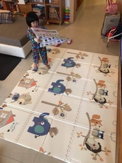 Thảm Xốp Gấp Hàn Quốc Cho Bé(1m8x2m)