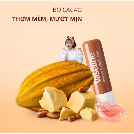 Son Dưỡng Môi Vaseline Dạng Thỏi 4.8g (Original, Hồng Xinh Rosy Lips, Bơ Cacao Vasel)