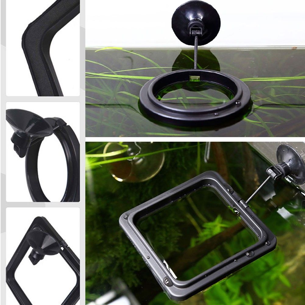 Khay Nổi Vuông/Tròn Cho Cá Ăn Gắn Bể Cá - Vòng Giữ Thức Ăn Cho Cá