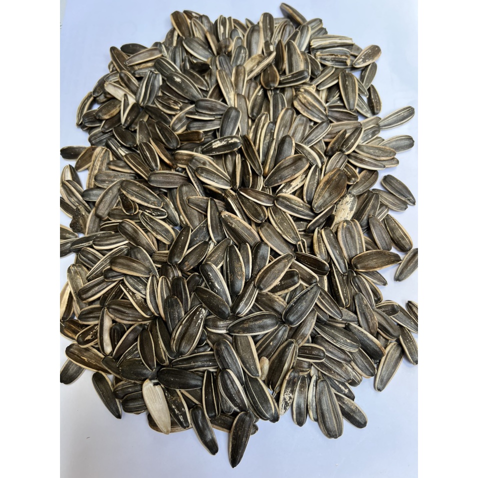 Hạt hướng dương cho hamster, chuột, vẹt, xám gói 500gr