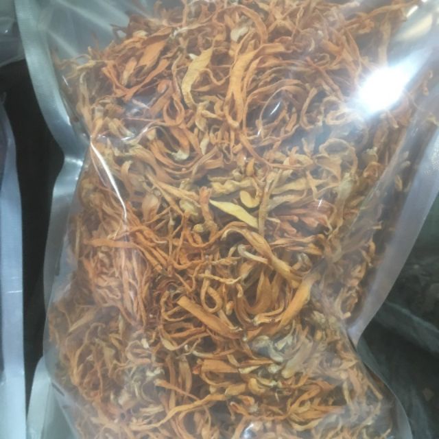 1kg đông trùng hạ thảo