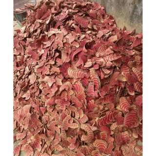 Huyết đằng ( cỏ máu phơi khô) 1 kg