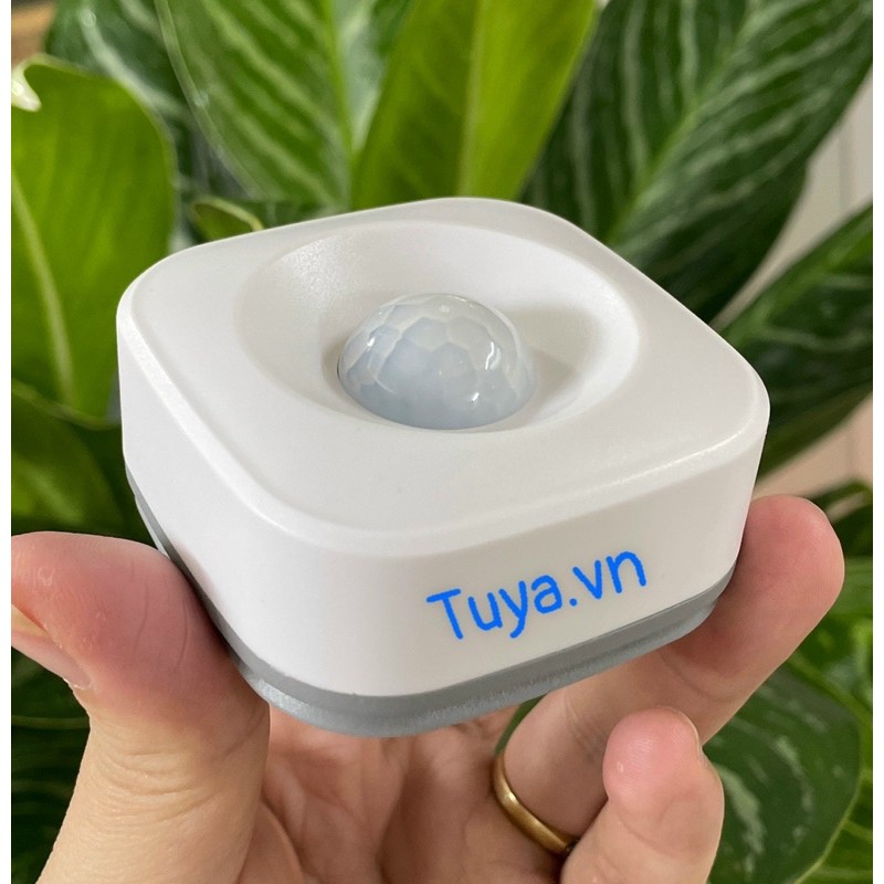 Cảm Biến Chuyển Động Hồng Ngoại Dùng Pin Wifi Tuya SHP-PI6