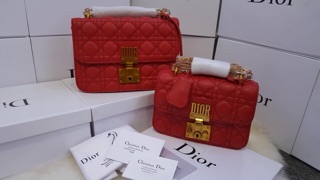 Túi Dior