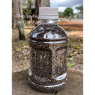 Hạt giống Sâm Bố Chính
