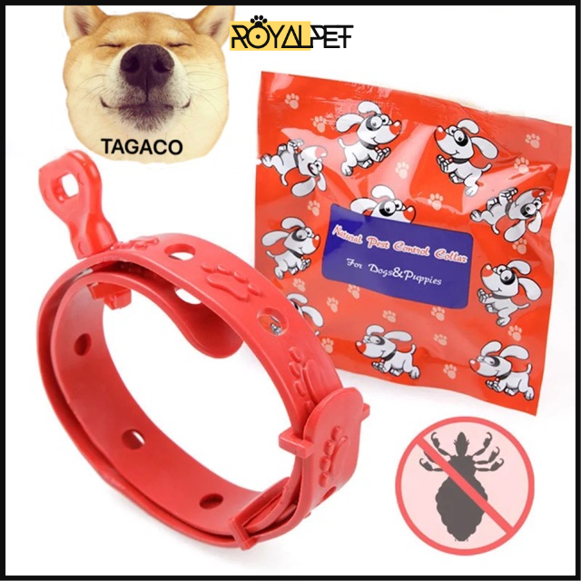 🔴🔥(ĐỔ BUÔN)-VÒNG CỔ CHỐNG VE RẬN CHO CHÓ!!LOẠI BỎ HOÀN TOÀN