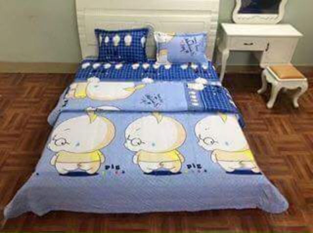 Drap cotton poly han quoc