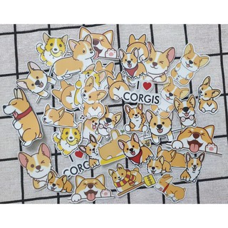 Set 40 sticker chó corgi