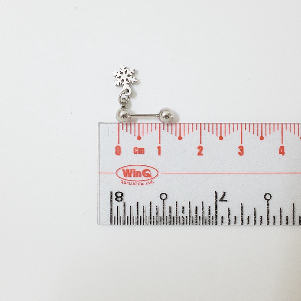 Khuyên Tai Titan Unisex Có Charm Hoa Tuyết Bi Tròn Không Gỉ Sét Không Ngứa Bông Tai Julies Box 66