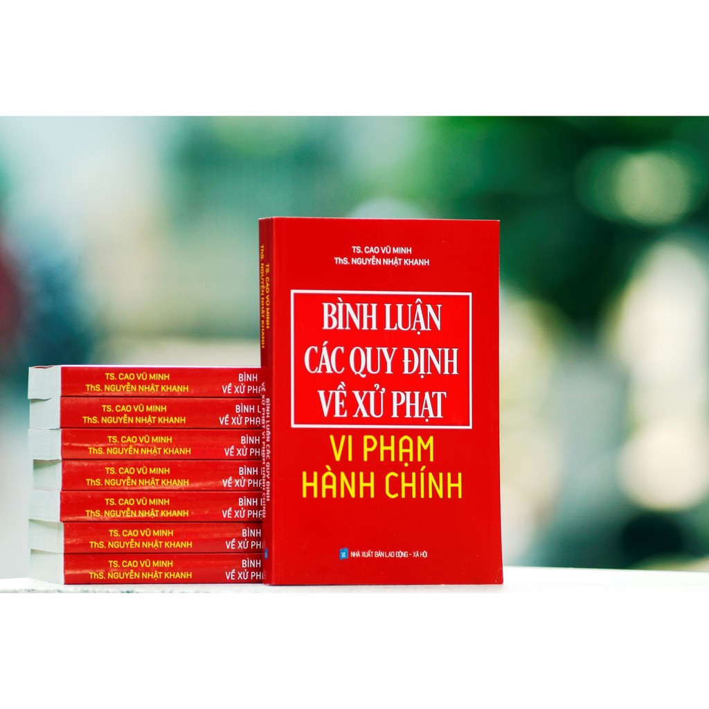 Sách - Bình luận các quy định về xử phạt vi phạm hành chính | BigBuy360 - bigbuy360.vn