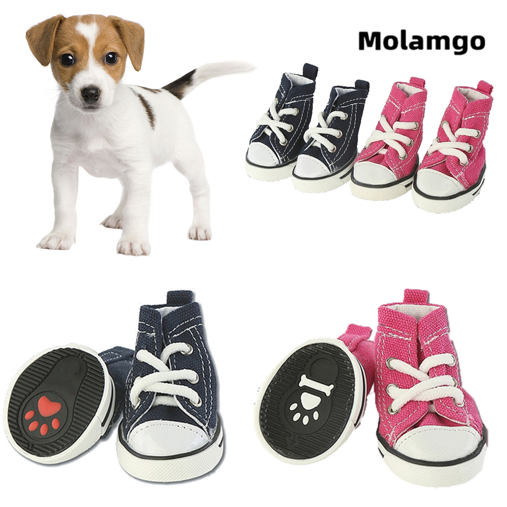 Giày MOLAMGO Thời Trang Cho Thú Cưng