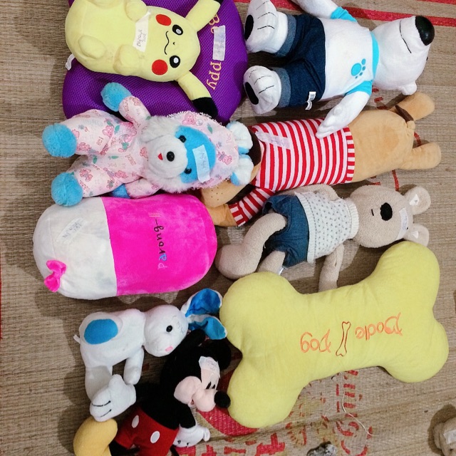 Gấu của Quỳnh