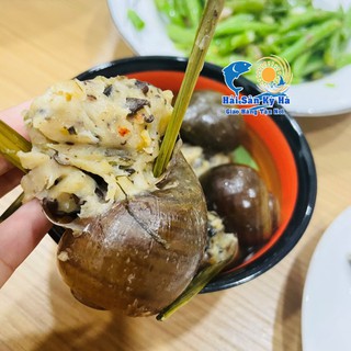 Giá sỉ 1 Vĩ Ốc Bươu Nhồi Thịt - Q12