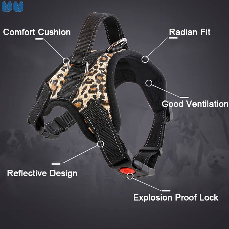 Dây Dắt Thú Cưng Đi Dạo Bằng Da Dạng Lưới Thoáng Khí 27Pets} S / M / L / XL