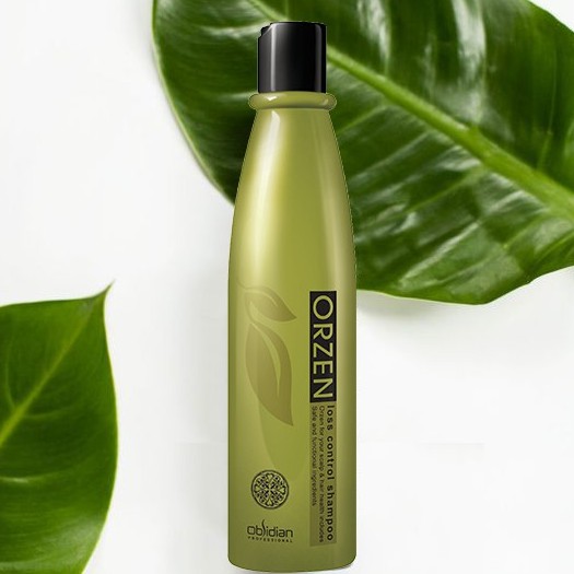 Combo 10 chai Dầu gội kích thích mọc tóc nhanh Orzen Loss Control Shampoo Hàn Quốc 320ml chính hãng