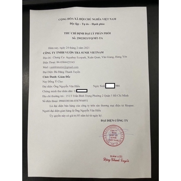 50 hộp trà Jeju Hàn Quốc (dạng viên, hộp 20 viên)