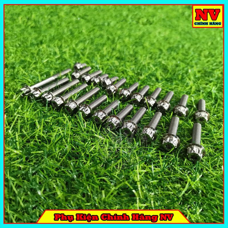 Bộ Ốc Lốc Máy Winner Mẫu Salaya Inox 304 (24 Con)