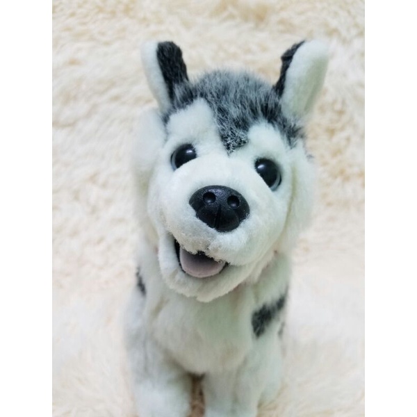 Gấu bông con chó Husky Alaska giống thật