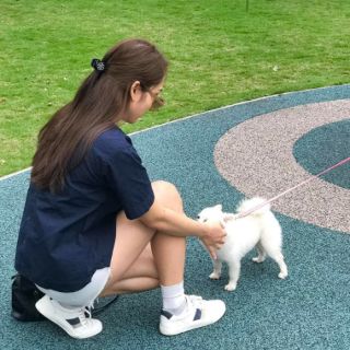 Sơ mi nữ cộc tay vnxk
