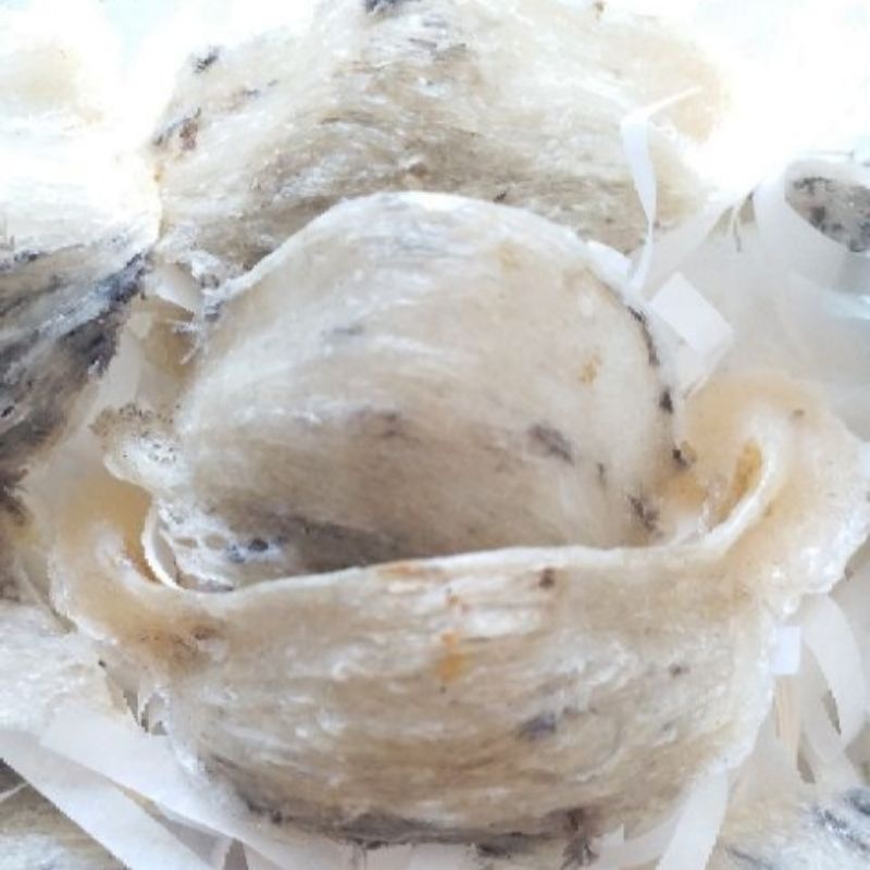 Yến sào thô nguyên tổ + Quà