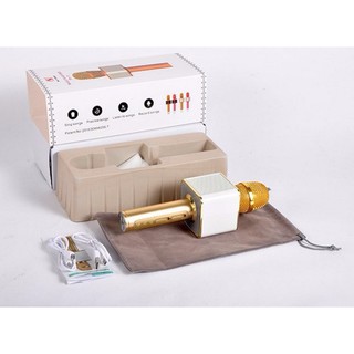 Micro karaoke kèm loa Ys 11